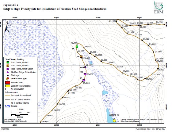 Site #6: High Priority Site for Installation of the Western Toad Mitigation Structures