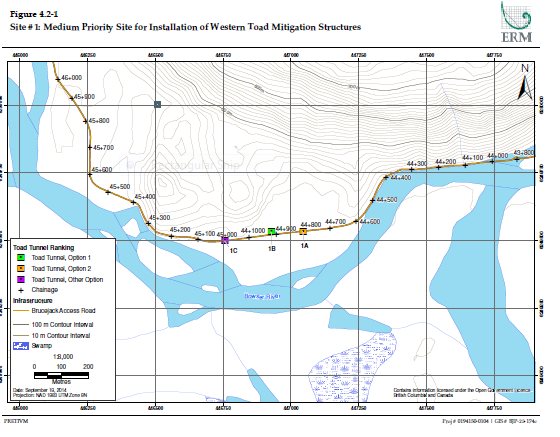Site #1: Medium Priority Site for Installation of Western Toad Migration Strucutres