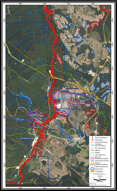 Figure 3: Fish-bearing creeks and rish barriers in the Local Study Area