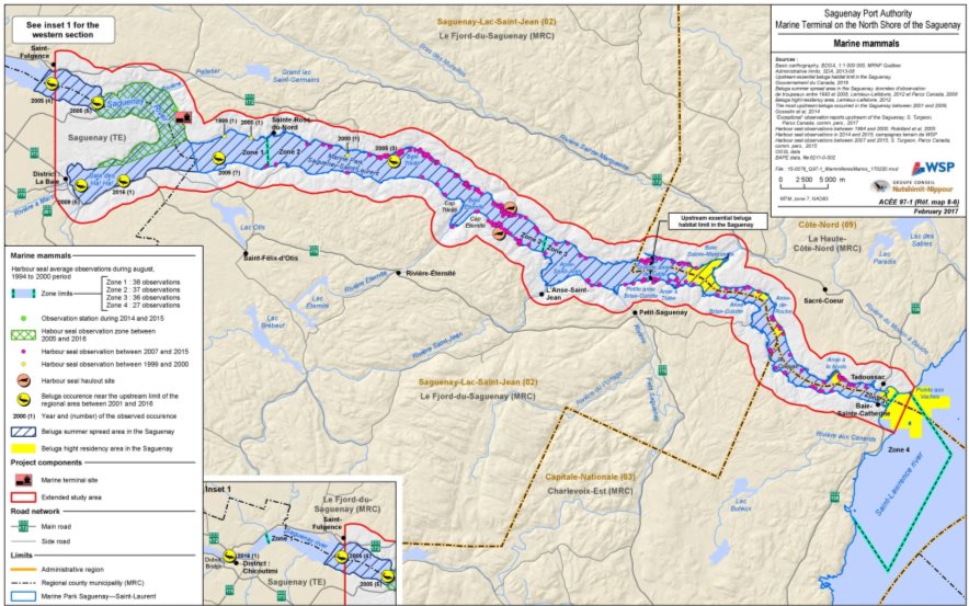Figure 11: Presence of the St. Lawrence beluga and the harbour seal in the Saguenay River