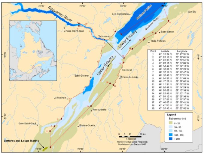 Figure 20: Boundaries of the critical habitat of the St. Lawrence beluga (line connected by dots)